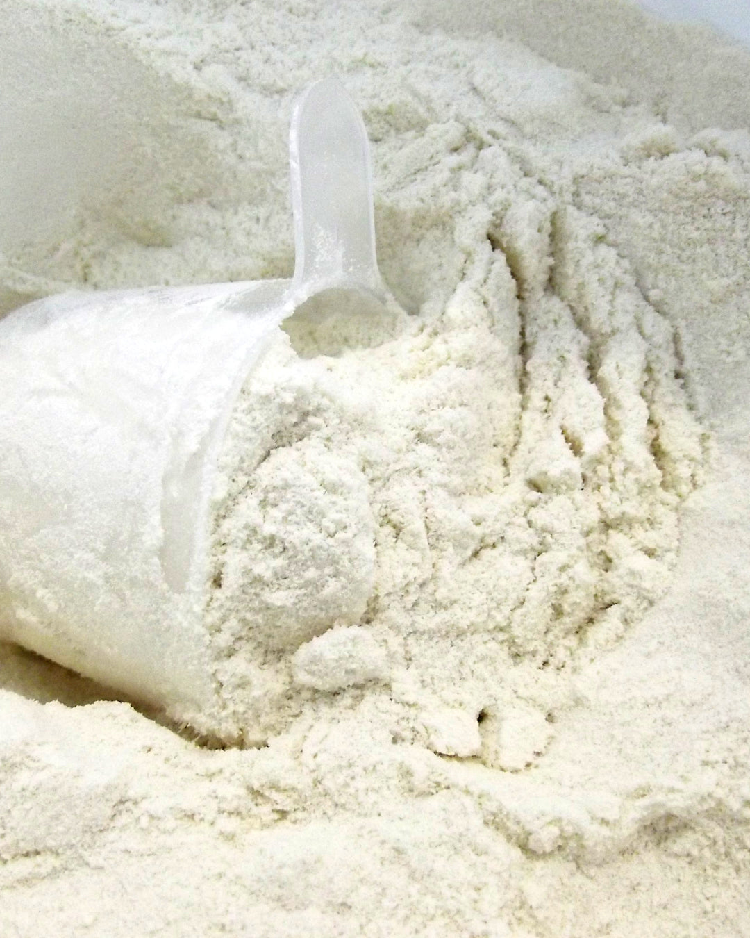 Polvo de proteína WAKEUP Egg White con textura visible y scoop