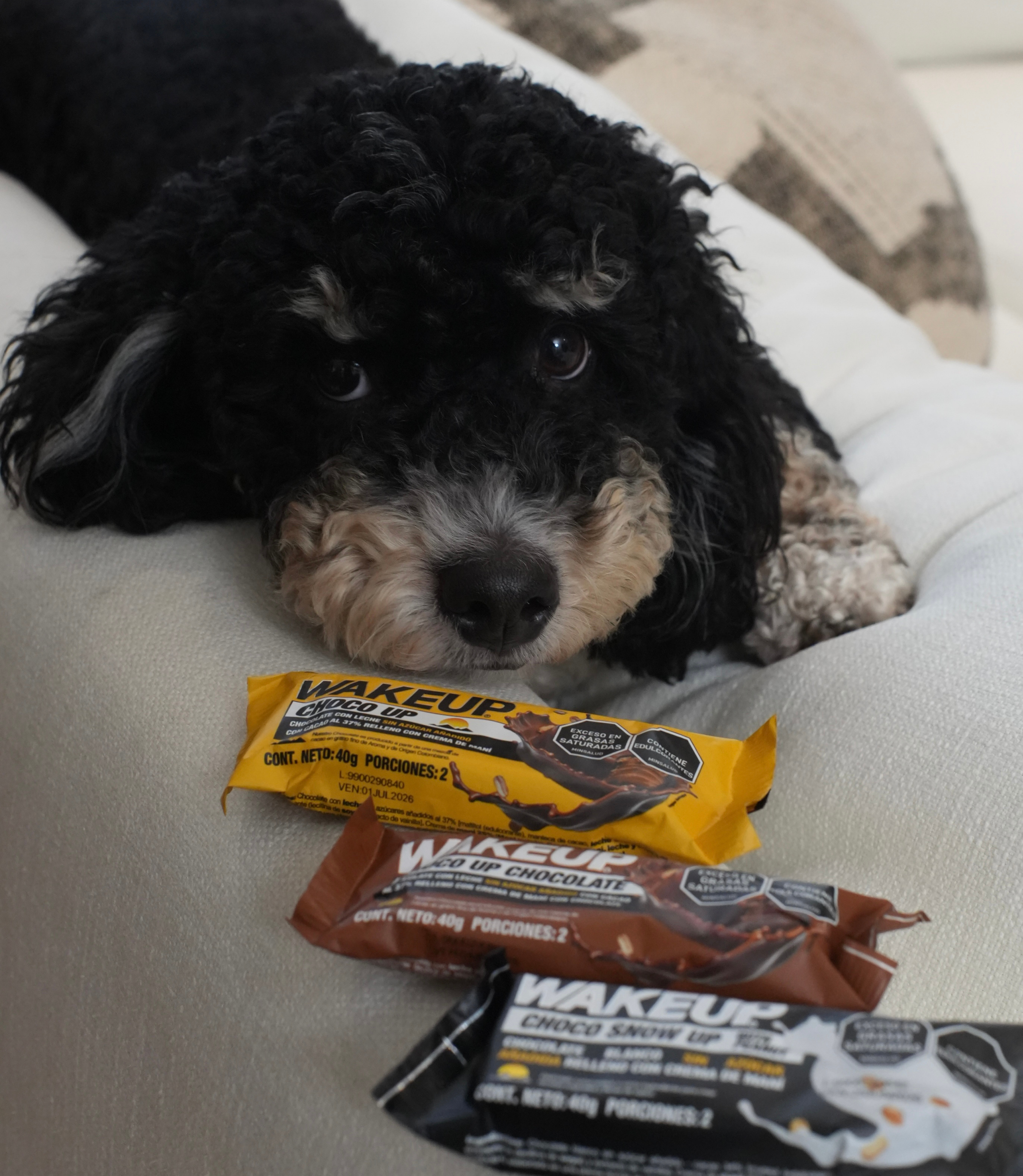 CHOCO UP NATURAL 40g